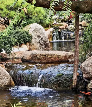 來海口看動物啦！這次特意打卡了海南熱帶野生動植物園，還住到了一家超滿意的酒店~  住宿推薦： 海口
