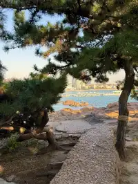 青島你美 冬日citywalk~