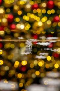 這個冬天夢幻的聖誕儀式感,被我狠狠拿捏了