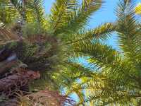 普洱這個小眾秘境，藏著最治癒的冬日暖陽