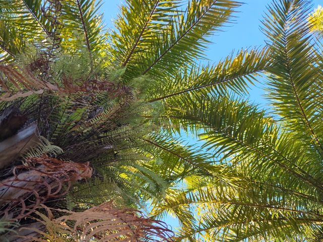 普洱這個小眾秘境，藏著最治癒的冬日暖陽