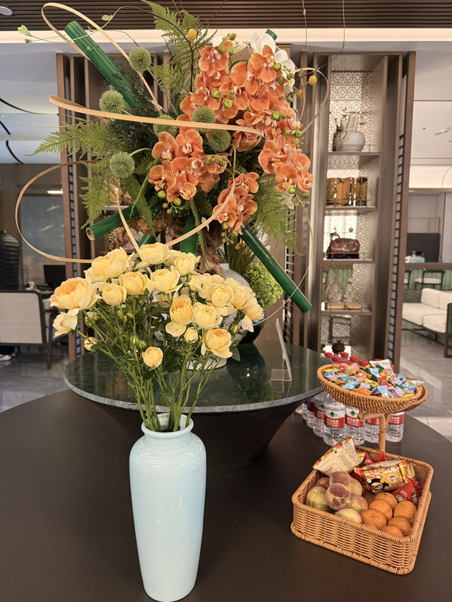 海鷗從不失約,曲靖的海鷗又回來了 海鷗從不失約,曲靖的海鷗又回來了