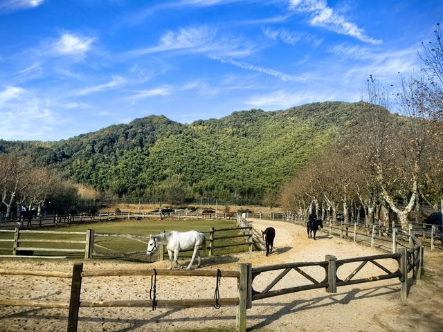 冬天的裸心谷很溫暖 冬天的裸心谷很溫暖