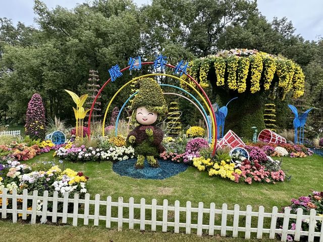 共青賞秋絕佳地 共青賞秋絕佳地