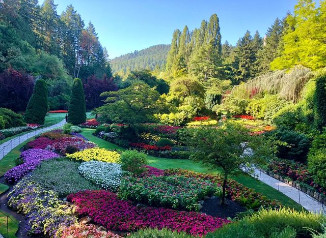 加拿大10天｜保姆級玩法避雷指南