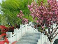 商丘2天旅遊,穿越千年漢唐,品味中原風情