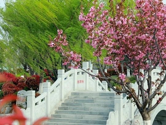 商丘2天旅遊,穿越千年漢唐,品味中原風情 商丘2天旅遊,穿越千年漢唐,品味中原風情