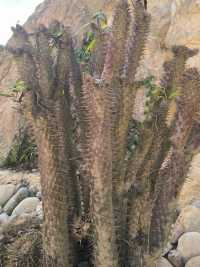 建水五龍湖四重奏