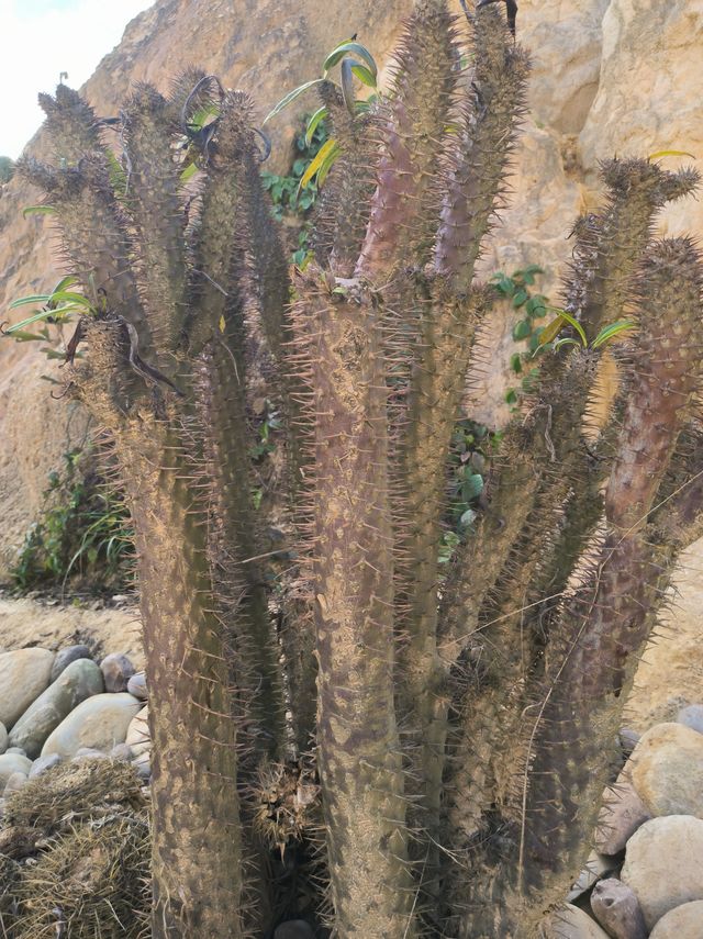 建水五龍湖四重奏 建水五龍湖四重奏