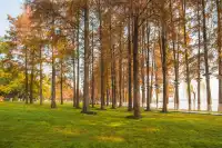 在武漢,週末不知道去哪兒玩,來東湖就對了