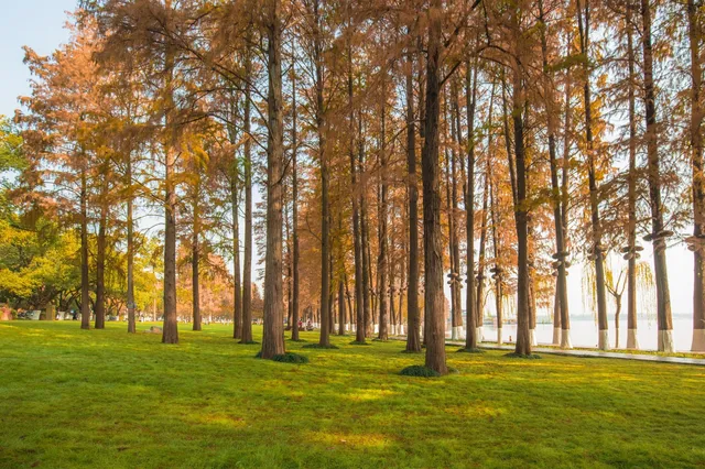 在武漢,週末不知道去哪兒玩,來東湖就對了 在武漢,週末不知道去哪兒玩,來東湖就對了