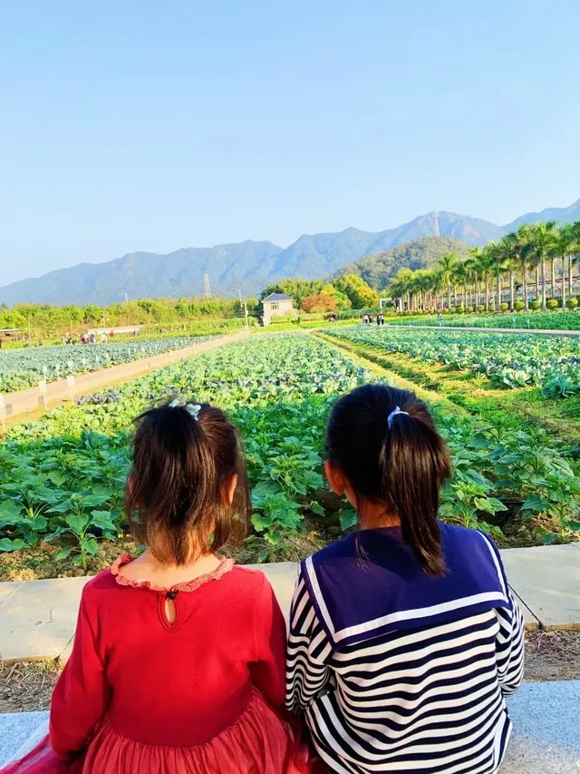 佛山農科院|限時免費開放最全攻略來啦 佛山農科院|限時免費開放最全攻略來啦