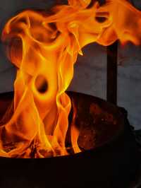 上海小眾銀杏秘境攻略