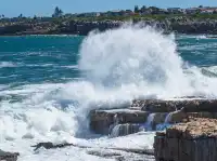 南非｜赫曼努斯-世界最佳陸地觀鯨地