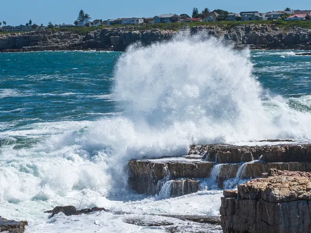 南非｜赫曼努斯-世界最佳陸地觀鯨地