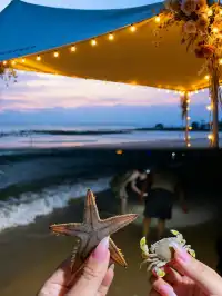 唔好亂衝！涠洲島觀鯨最佳時間攻略奉上