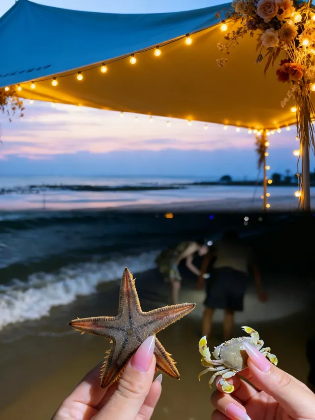 唔好亂衝！涠洲島觀鯨最佳時間攻略奉上