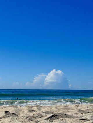 윌밍턴 3일 여행: 몰입형 탐험과 자연 여행