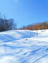 【哈爾濱·原生態雪景穿越路線】