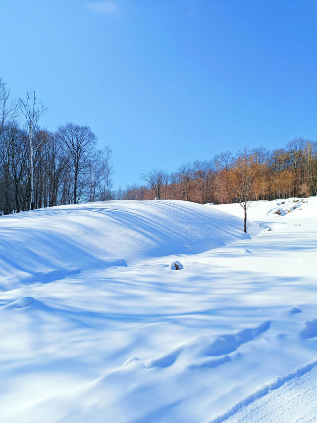 【哈爾濱·原生態雪景穿越路線】