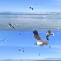 淡季的雲南，真的太美了！！