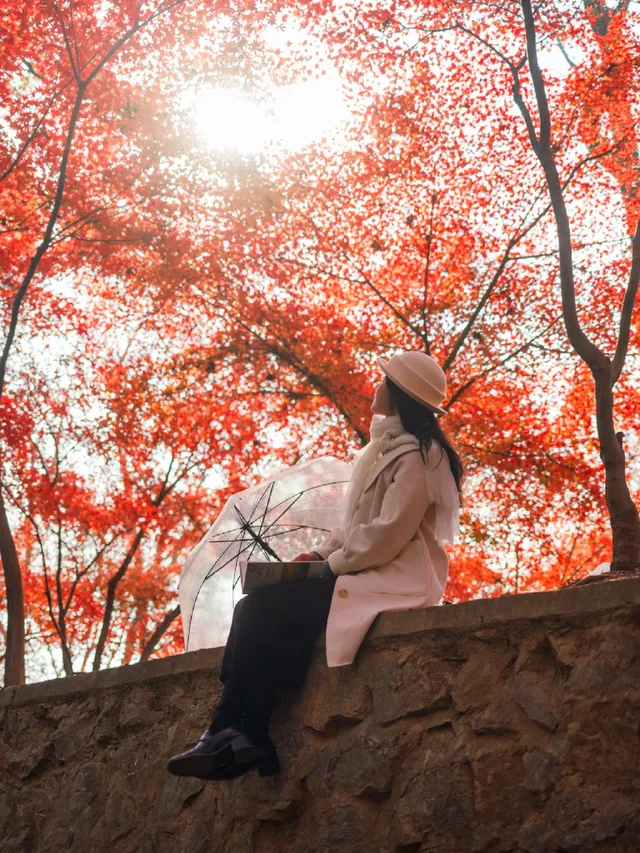 12.5實況|中山植物園這幾個機位包出片的! 12.5實況|中山植物園這幾個機位包出片的!