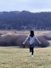 公路沒有盡頭，自由也是