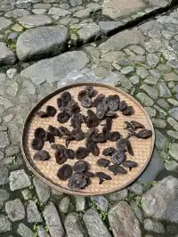 廈門/漳州出發，土樓專線天天發團