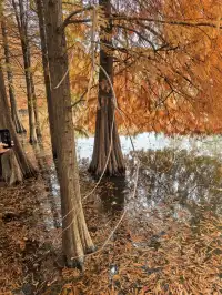 南京鐘山風景區漫遊