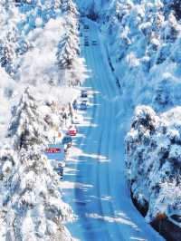 都在吹廬山雪景治癒?我想說:別太當真!