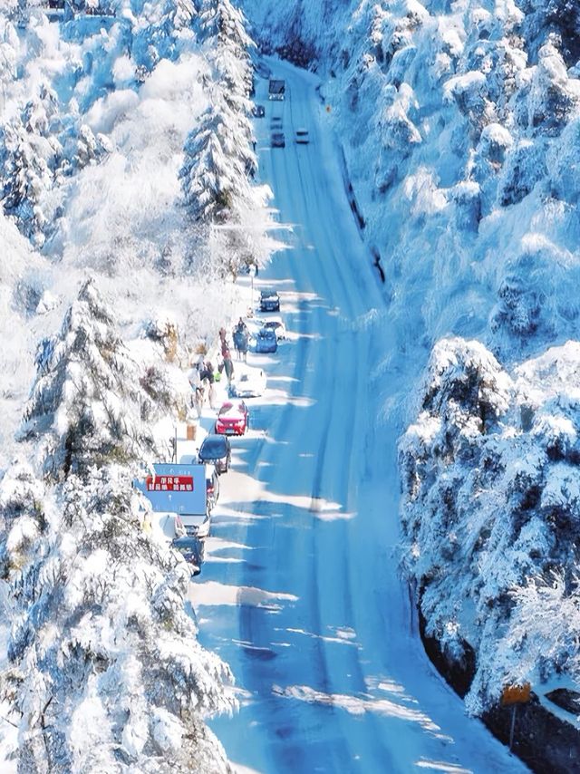 都在吹廬山雪景治癒?我想說:別太當真! 都在吹廬山雪景治癒?我想說:別太當真!