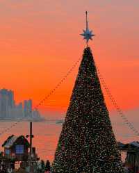 香港西九文化區聖誕樹 - 尖沙咀, 香港 - 全年 全天開放  - 超適合拍照打卡哦 - 聖誕