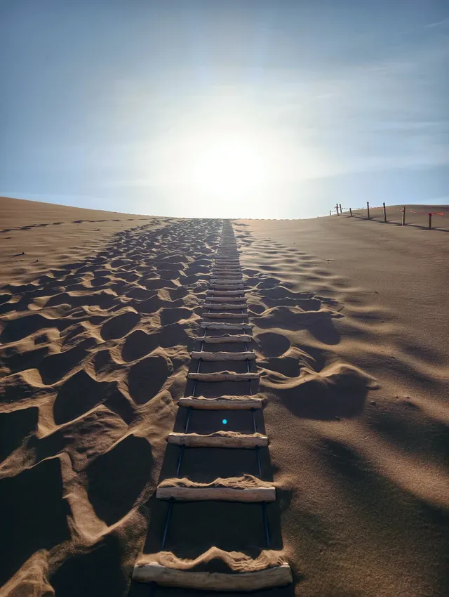 東天的大西北 東天的大西北