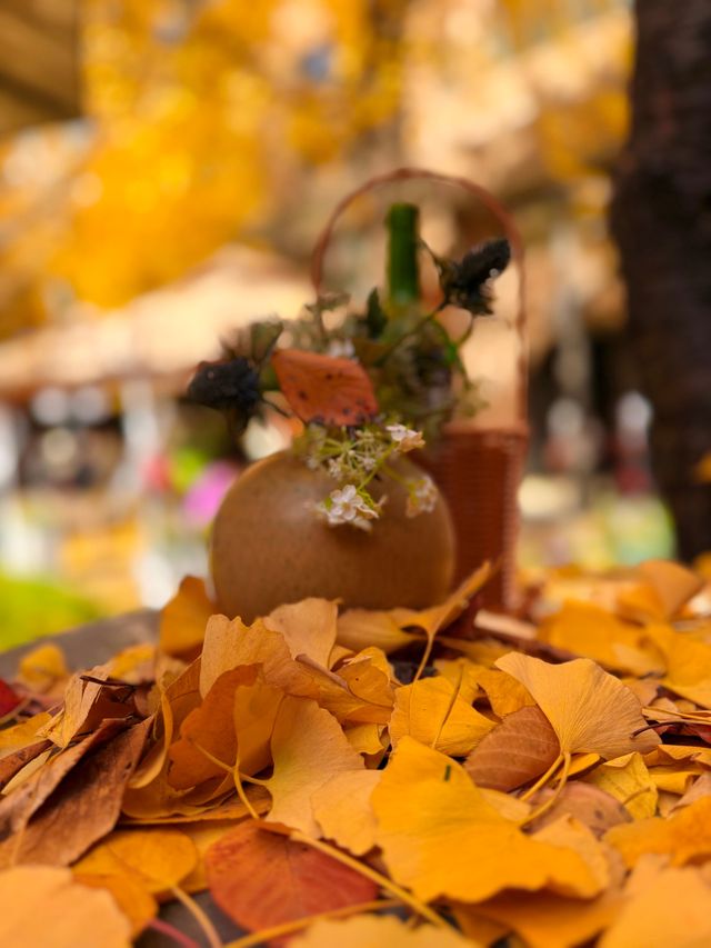 黃金城道步行街觀賞金色趕緊走起