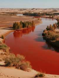 誰說雲南只有夏天?這座溫暖神山的冬天美到詞窮!