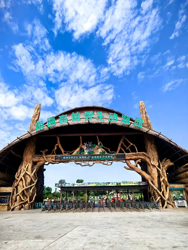 Guide to Nantong Forest Wildlife Zoo: A Wonderful Experience Having Breakfast with Giraffes!