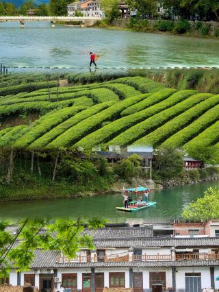May Day reverse travel: I want to recommend this underrated gem town that I've thought of 10,000 times!
