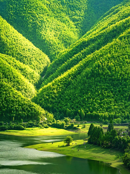 小杭坑(高山草甸营地) 参考图 1