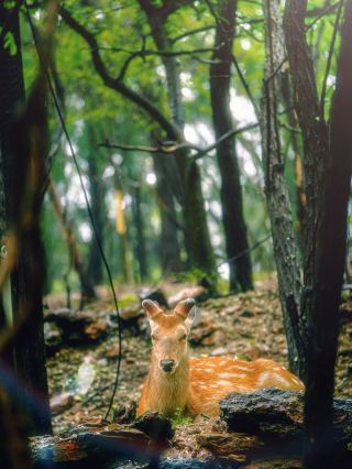大連｜雨天也能擁有滿分好心情