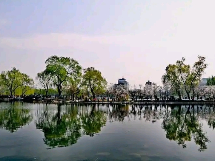 Heilongjiang Summer Cooling Itinerary Recommended! Travel north to south through Mohe, Harbin, Qiqihar, Heihe, and Ning'an for a rare and exclusive "summer getaway" memory. Stepping on creek stones with water splashing against your face, the summer heat is instantly washed away—immersing yourself freely in nature is the ultimate way to kick off the season! The journey features not only lively river cruises in Heihe and world-class wonders, but also the intellectual warmth of museums, encounters with graceful wild cranes, and breathtaking auroras. Pack light and set off to discover a different Heilongjiang! ~