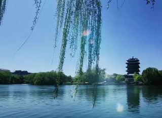 大明湖をゆっくり散策、急がずに楽しむリラックス半日旅