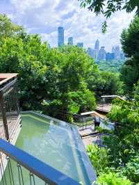 曼谷新晉商業體 centralpark|天際線的步道探秘
