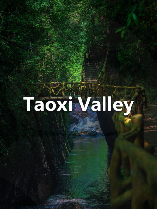 Found a hidden gem for summer heat relief, full of valley mist, immerse yourself in the coolness of the canyon
