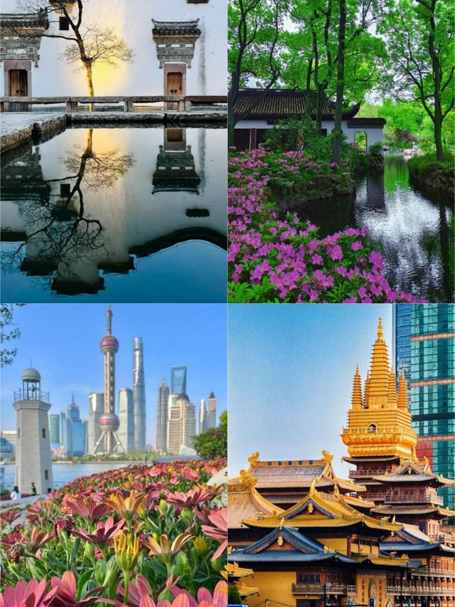 8月13日上海這樣玩不繞路