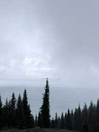 松樹頭絕美觀景地