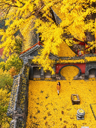 Tengchong 6-day 5-night travel guide | Visit Yunnan in autumn/winter for ginkgo trees and hot springs