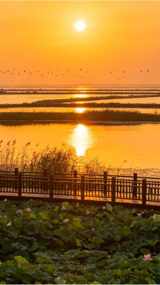 Водно-болотные угодья Туоху в уезде Ухэ, провинция Аньхой: скрытая жемчужина северного Аньхоя