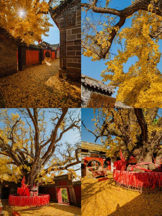 Weekend getaways from Shandong: 1 hour by high-speed rail | 4 hidden gems for a spontaneous trip