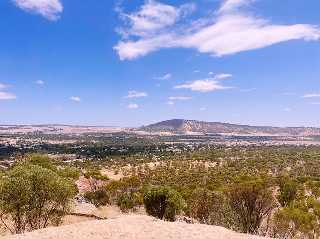 Mt Brown Lookout🏚️😎🤠📸Wongborel🤓