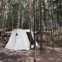 นอนกางเต็นท์กลางป่าสนที่ราชบุรี 🏕️
